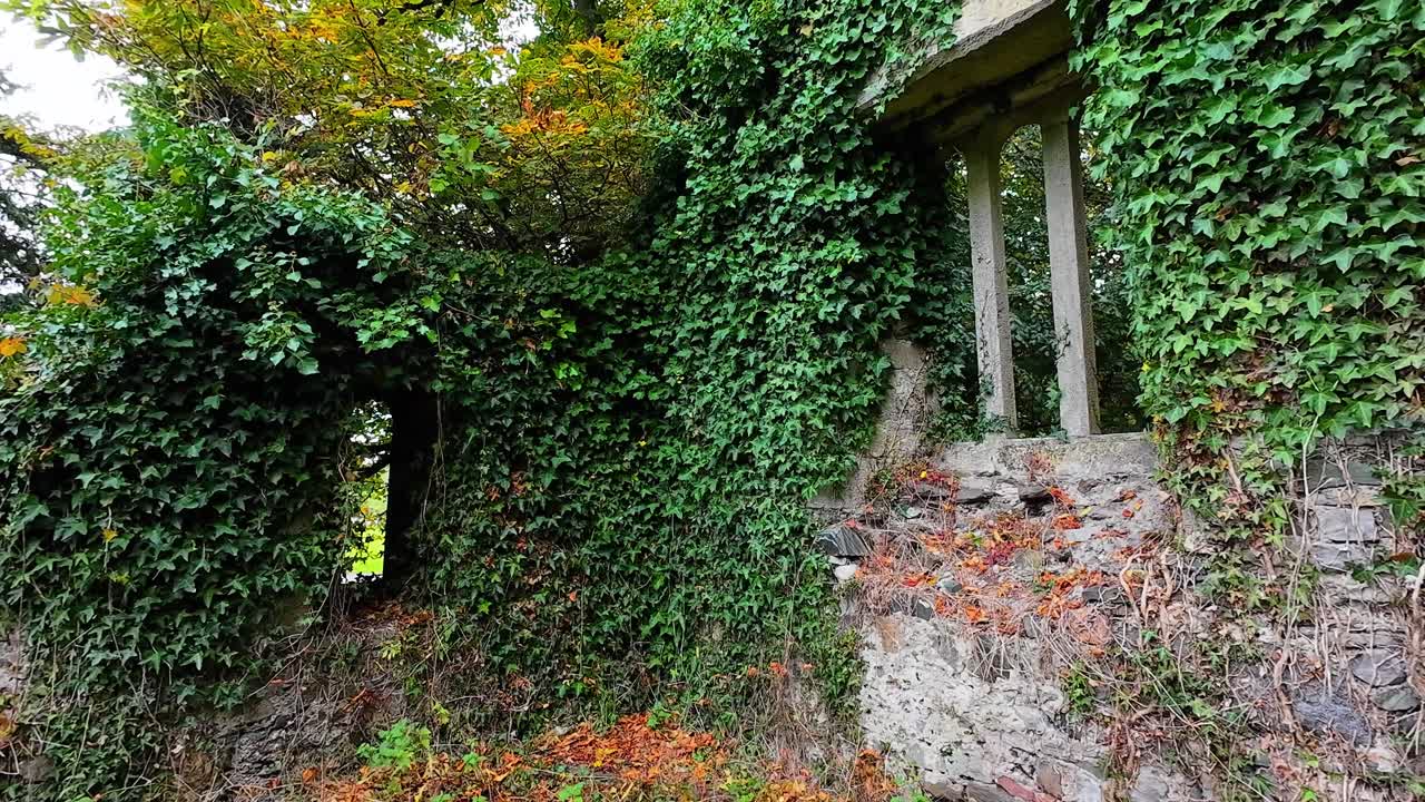 Ivy Covered Ruins of an Ancient Stone Building