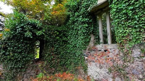 ivy covered ruins of an ancient stone building