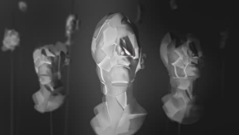 broken mannequin head shells in xray