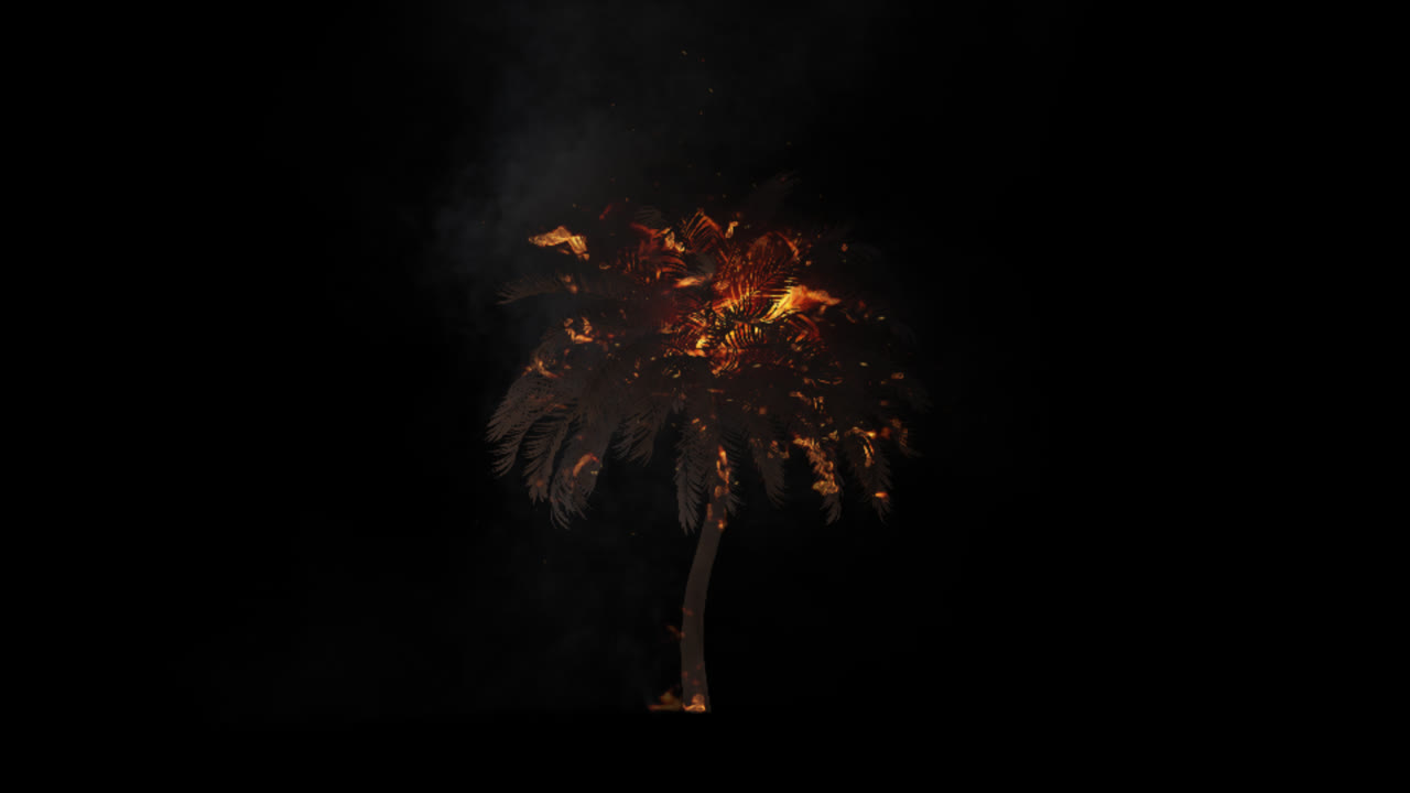 불타는 종려나무