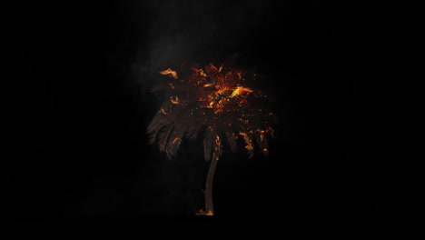 el árbol de palma en llamas