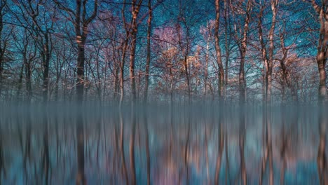 un paseo de fantasía en un parque real