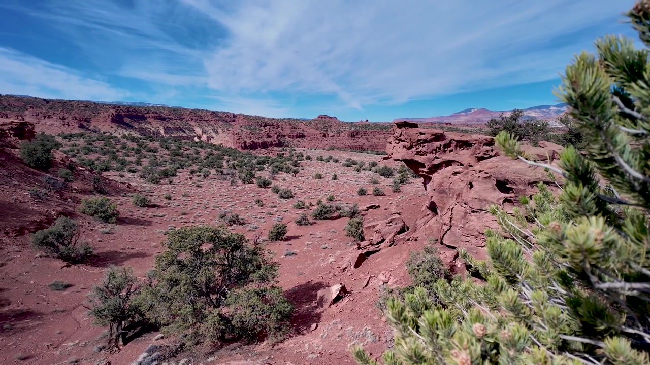 Scogliere di arenaria rossa frastagliate e scarsa vegetazione desertica vicino a Moab, Utah, Parchi Nazionali di Canyonland e Arches. Cielo blu vibrante, terreno roccioso drammatico e inquadratura statica grandangolare senza persone.