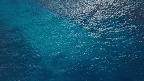 sea surface loopable background