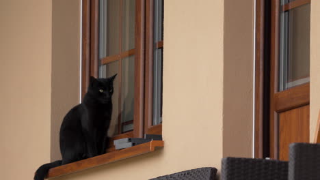 Eine-Schwarze-Katze,-Die-Auf-Einem-Fensterbrett-Sitzt-Und-Mit-Konzentriertem-Und-Aufmerksamem-Gesichtsausdruck-Die-Außenwelt-Beobachtet