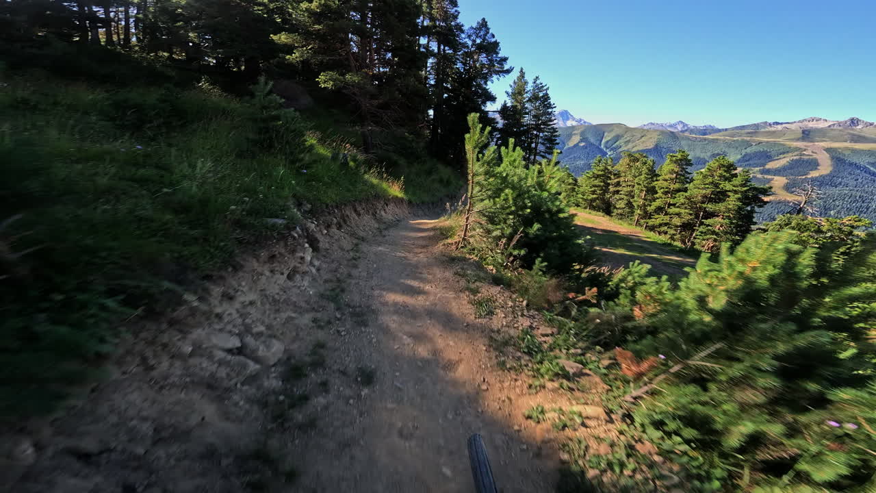 First Person View of Mountain Biking on a Sunny Alpine Trail