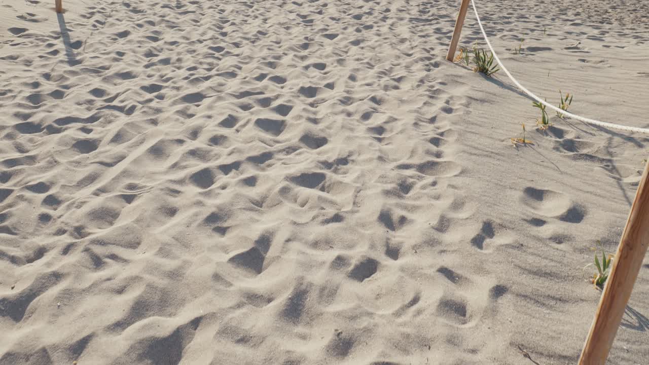 크레타의 엘라포니시 섬 해변의 모래사장에서 부드러운 워킹 샷