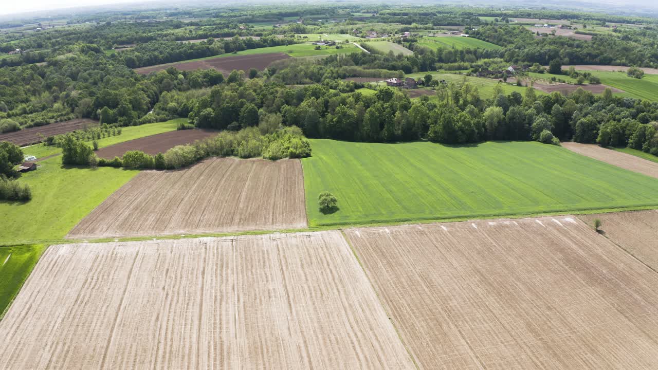 Absenken der Drohne, um einen einzelnen Baum auf dem Ackerfeld einzufangen.