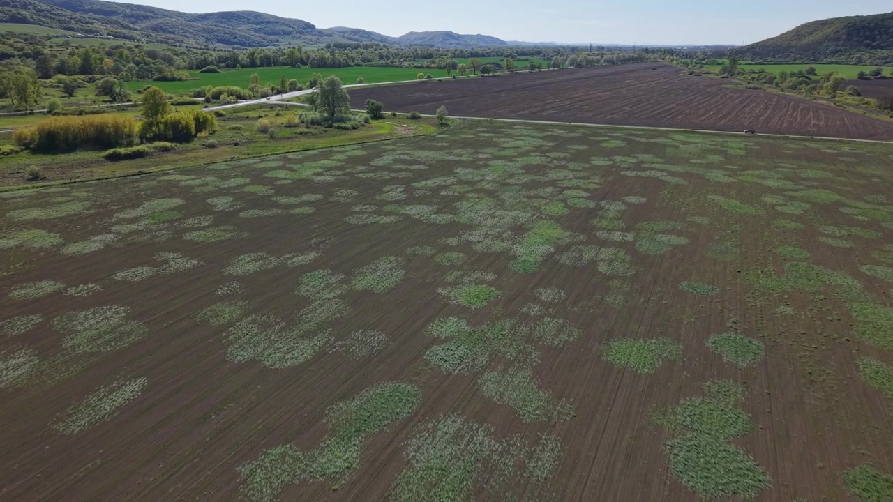 Et luftfoto, der viser ujævn afgrødespiring på en stor landbrugsmark, hvilket fremhæver variation i jordkvalitet og landbrugsforvaltning.