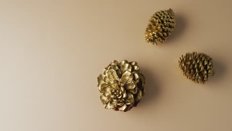 Video-of-pine-cones-lying-on-beige-surface