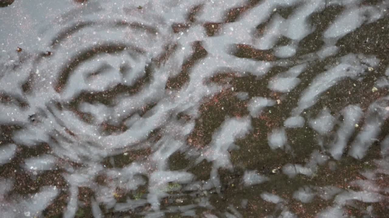 las gotas de lluvia hacen olas en un charco en un suelo pavimentado.