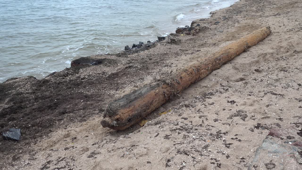 Una tempesta ha scaraventato un antico albero di nave sulla spiaggia sabbiosa. Albero di nave da un'antica nave affondata