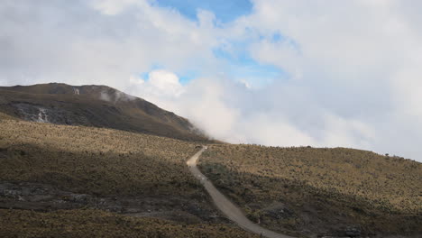 parque de los nevados - wonderful landscapes of colombia 1