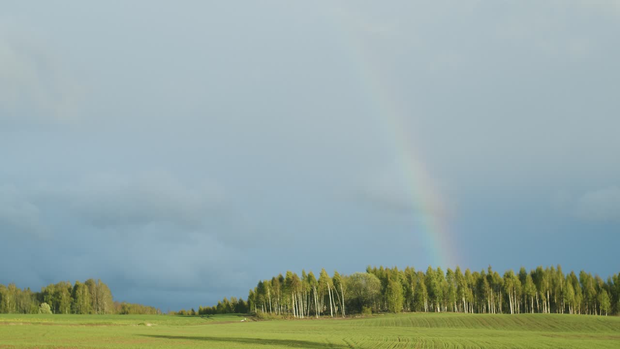 verano primavera lluvia y arco iris sobre campo verde y bosque