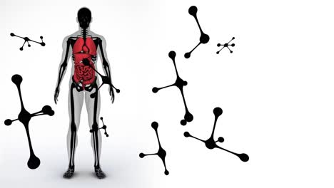 animación de moléculas que caen sobre el modelo del cuerpo humano