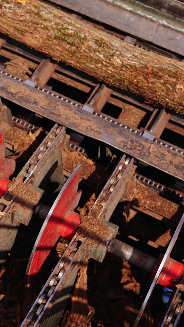 Industrial plant sawmill. Process of machining logs in equipment sawmill machine saw. Vertical video
