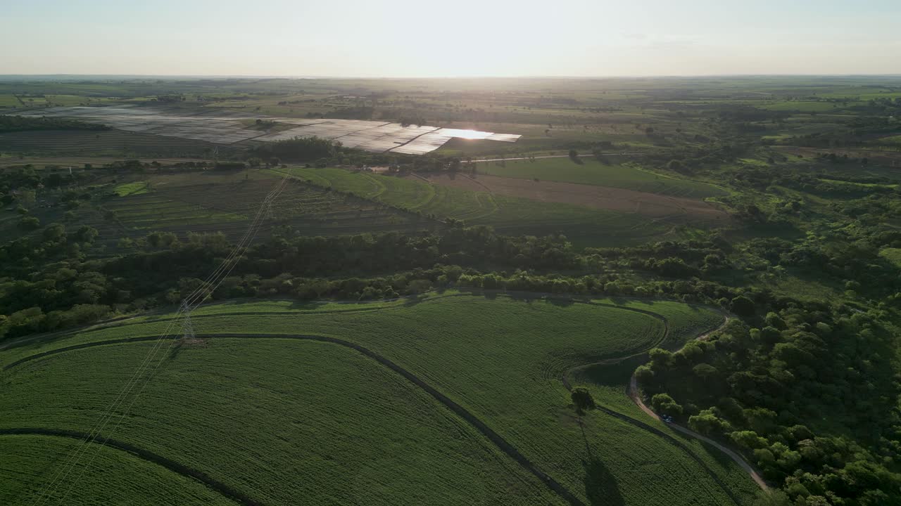 panoramic aerial view of a soybean plantation field with solar panels field in the background, during sunset time - Countryside of Sao Paulo - Dracena, Brazil