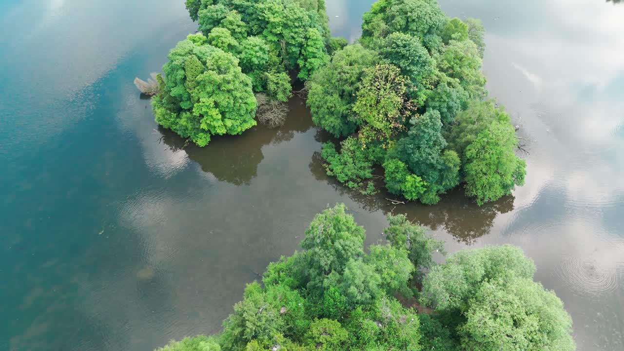 las nubes se reflejan en el lago trentham gardens en stoke-on-trent, staffordshire, inglaterra, reino unido