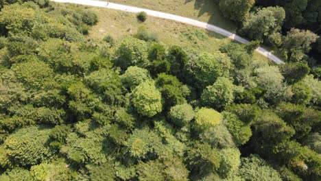 Vista-De-Drones-De-Un-Camino-Forestal-En-El-Campo