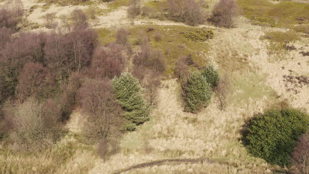 vista aérea de los páramos y bosques ingleses
