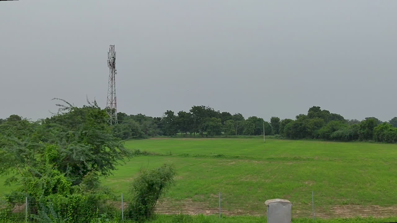 Green Field with Telecommunication Tower