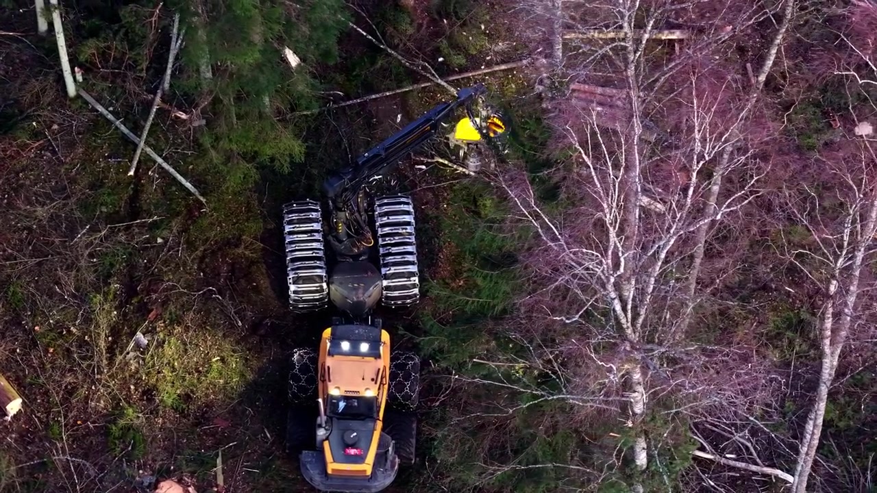 Logging machine harvesting trees from above in a forest clearing, responsible forestry in aerial view