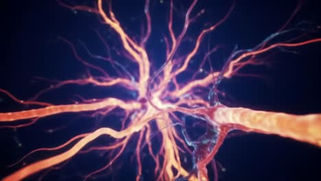 exploring the complex architecture of neurons in a dynamic visual representation of neural activity and connectivity, illuminating intricate synaptic interactions