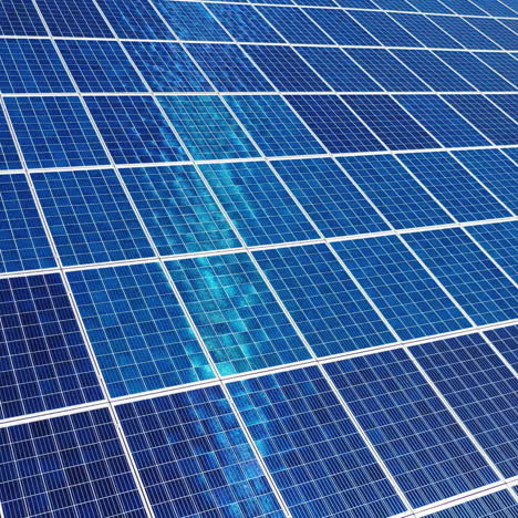 blue solar panel close-up. alternative source of electricity on solar energy farm. source of ecological renewable energy.