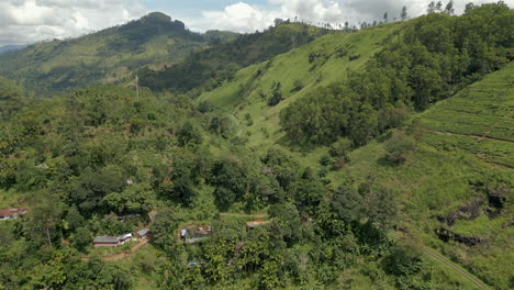 estableciendo una toma aérea de drones de las tierras altas de sri lanka con árboles y plantaciones de té