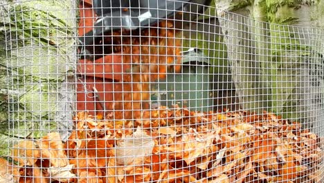 low angle emptying leaves into garden composting area