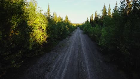 road leading through beautiful green forest woods, aerial flying forward during evening sunny golden hour landscape in sweden