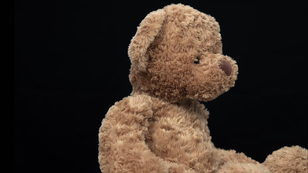 el oso de peluche marrón