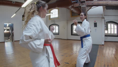 handheld shot of cheerful girls practicing karate beats in gym