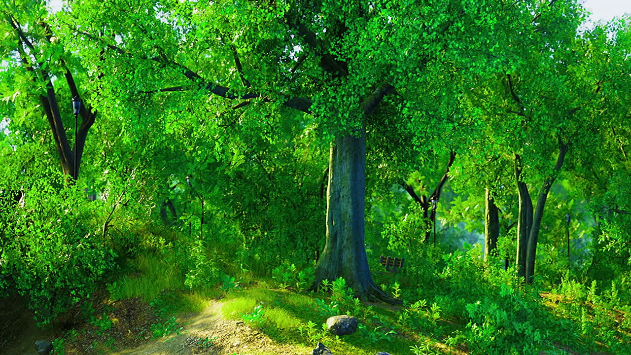 Sunlit green forest with lush vegetation in serene tranquility