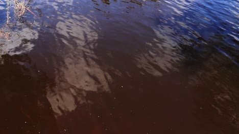 Reflections-on-the-river,-looking-down-on-the-river