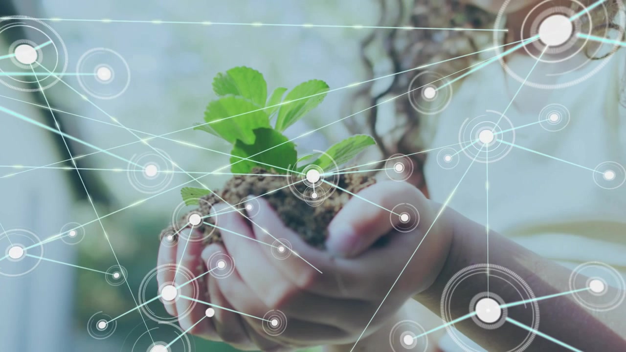 Girl cupping seedling single ring appearing and expanding network camera widening showing learning