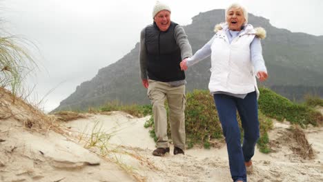 senior couple holding hands and walking on the beach