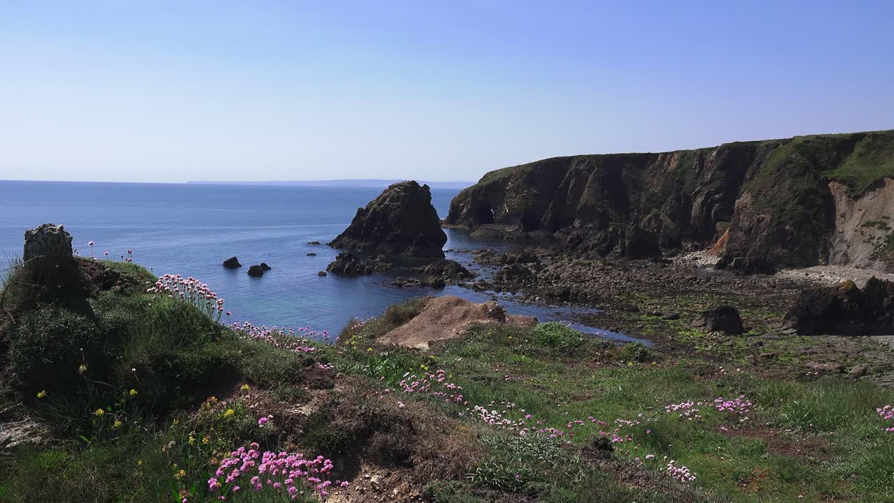 Coast view Seapinks on cliffs Copper Coast Waterford Ireland in summer