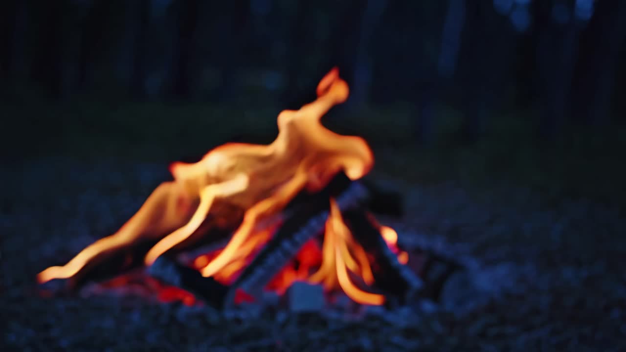 A close-up, low-angle video of a campfire with vibrant flames against a dark forest backdrop