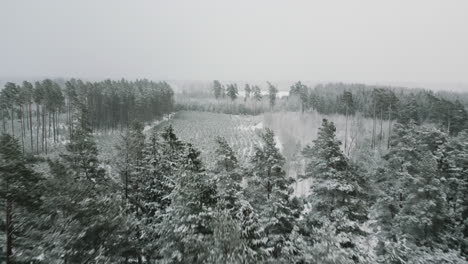 Valdemārpils-De-Letonia-En-El-Mes-De-Diciembre.