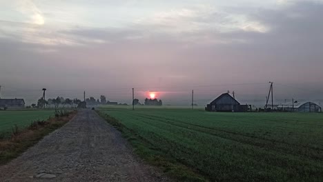 Early-morning-misty-countryside-view-of-Lithuania-with-sunrise-behind-the-clouds-and-birds-flying-into-an-electric-pole