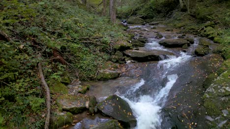 Curso-De-Arroyos-Límpidos-A-Través-Del-Bosque-Verde-En-Bistriski-Vintgar-Eslovenia