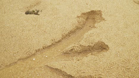 Water-sand-carving-out-a-small-trench-across-the-surface-of-dune-in-Angeiras,-Porto,-Portugal