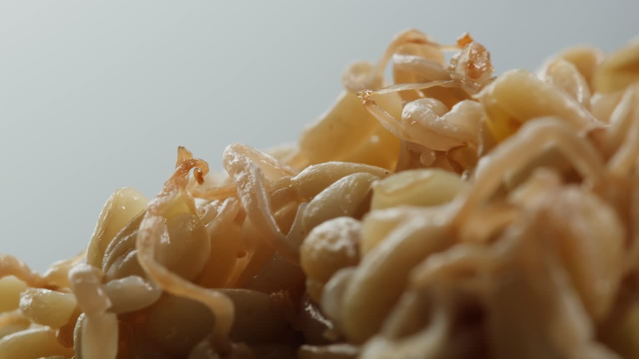 Salted soybean fermented in jar, chinese soy production, marinated food, germinated soy close up in cafe restaurant.