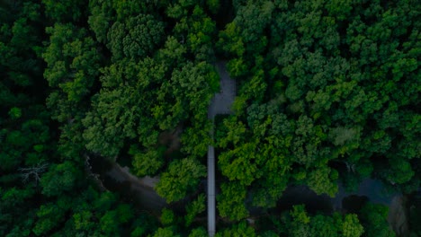 Un-Clip-Aéreo-Que-Pasa-Sobre-Un-Puente-De-Carretera-En-Un-Bosque-Oscuro-En-Red-River-Gorge-Ky