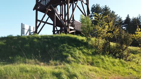 panorámica hacia arriba desde la hierba exuberante hasta la alta torre de observación de madera