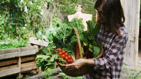 mujer madura sosteniendo una canasta de verduras 4k