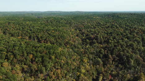 un panorama sin límites de bosques densos, exuberantes con vibrantes colores de otoño