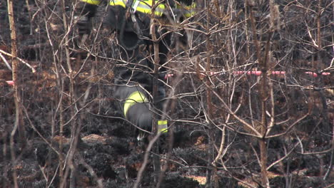 bombero atraviesa un bosque en llamas