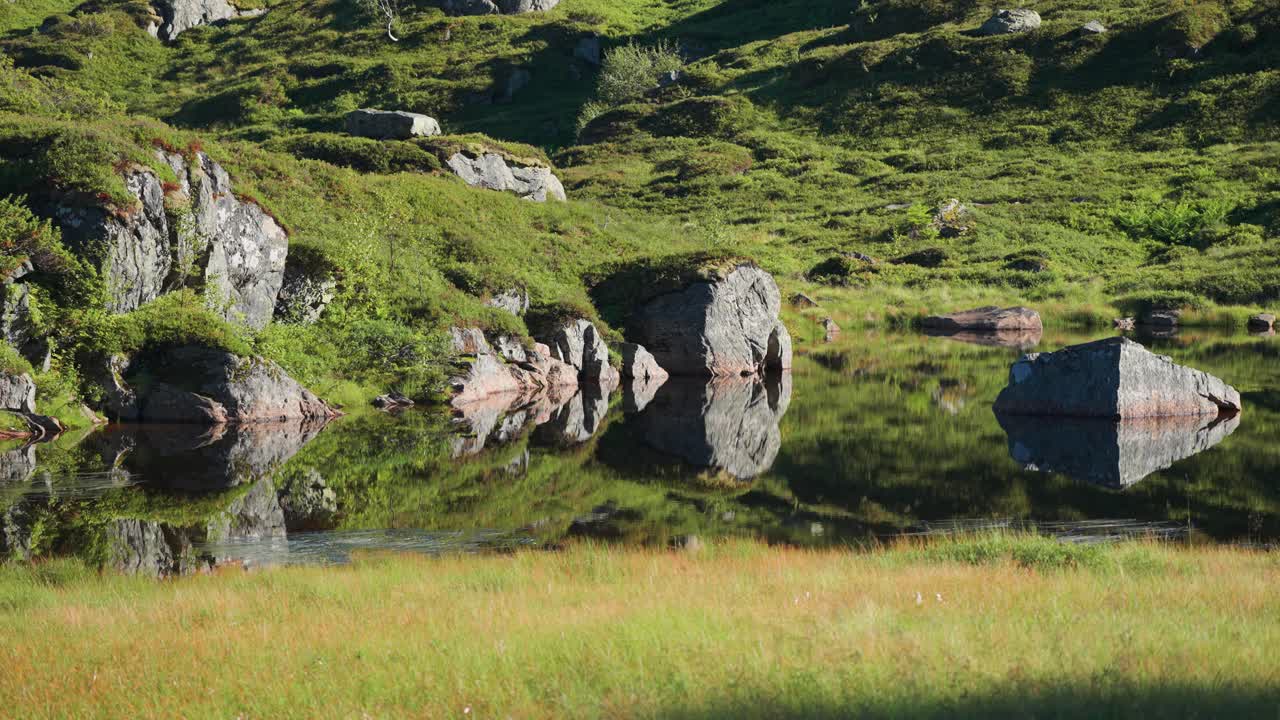 A shallow pond with rocky shores covered with a soft carpet of grass and moss